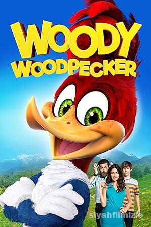 Agaçkakan Woody 2017 izle