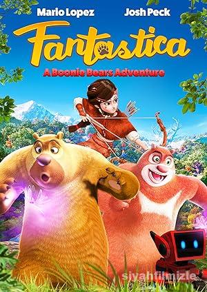 Ayı Kardeşler: Fantastik Dünyalar 2017 izle