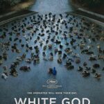 Beyaz Tanrı (White God) 2014 izle