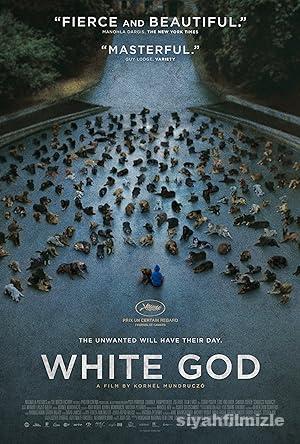 Beyaz Tanrı (White God) 2014 izle