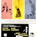 Karanlıkta Bir Çığlık 1964 izle